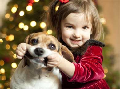 Child pulling on dogs lips, the dog is not having fun!