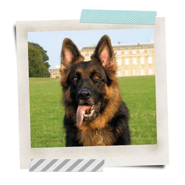 Khanu sitting in front of Petworth House