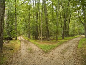 Two paths in the woods, which to choose?