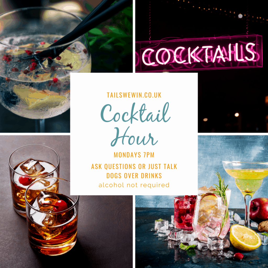 Different cocktails with text. Tails We Win Cocktail Hour, Mondays 7PM. Ask questions or just talk dogs over drinks. Alcohol not required