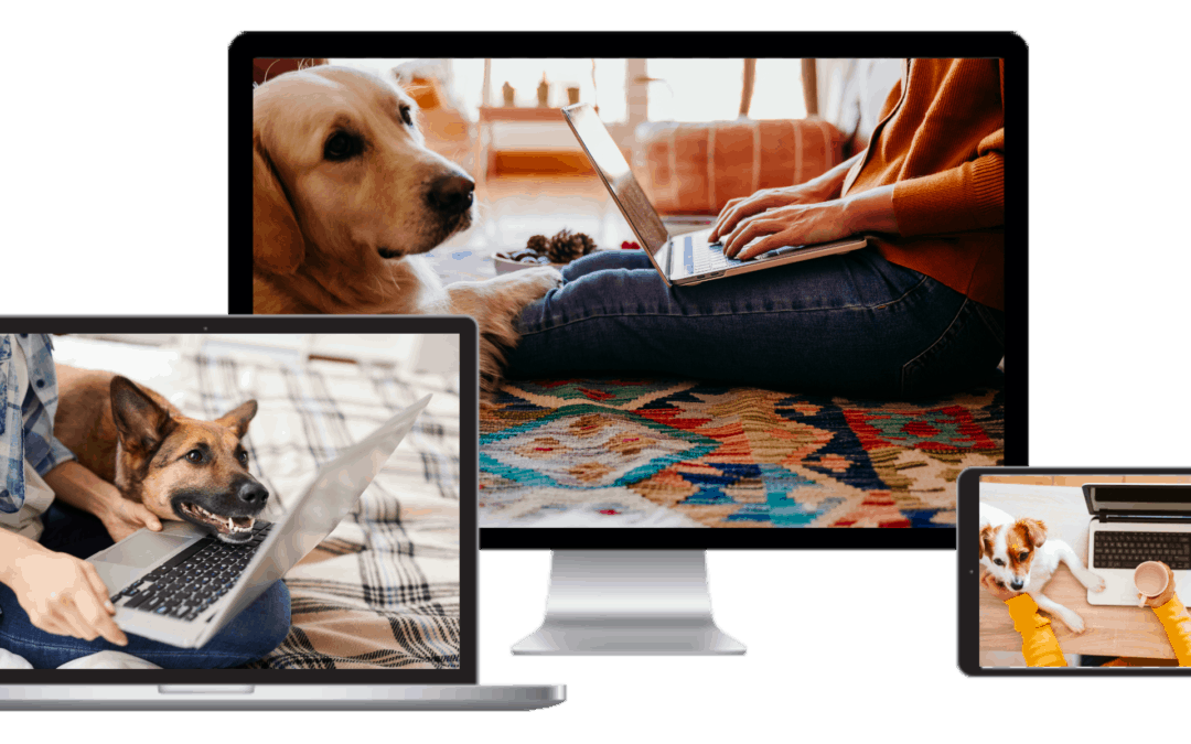 online dog training can be as effective as in-person