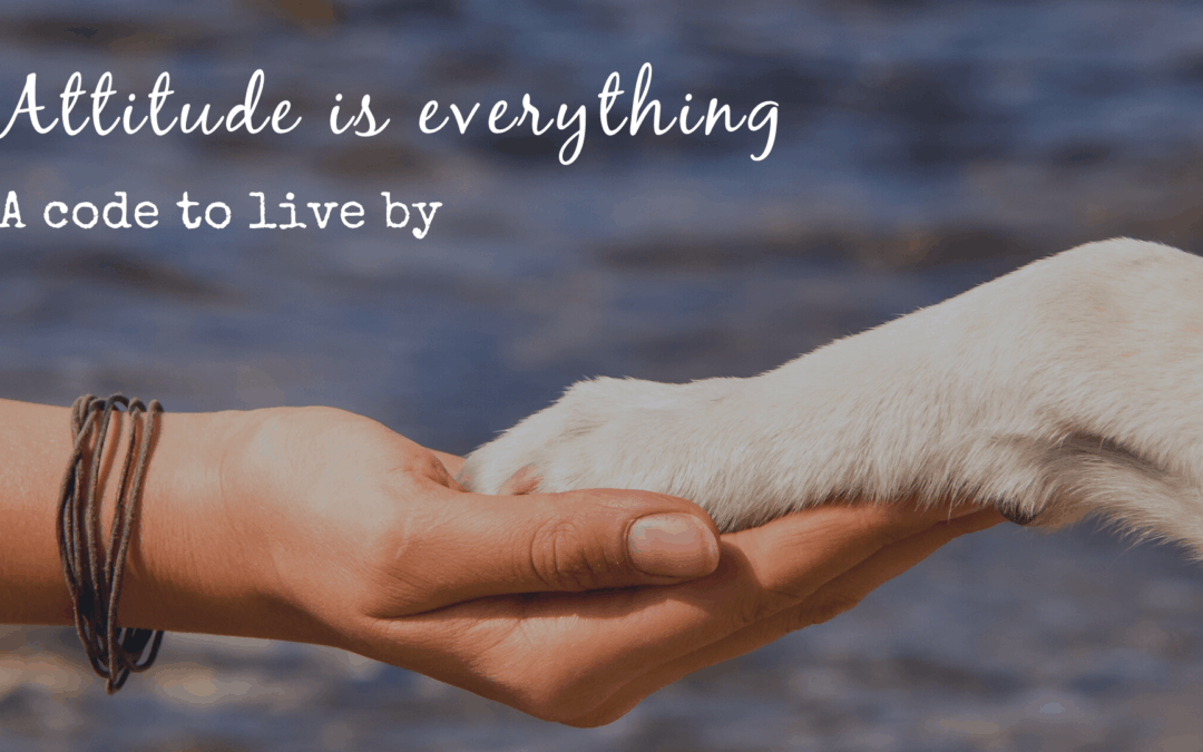 White dog paw placed in woman's palm with caption Attitude is Everything a code to live by