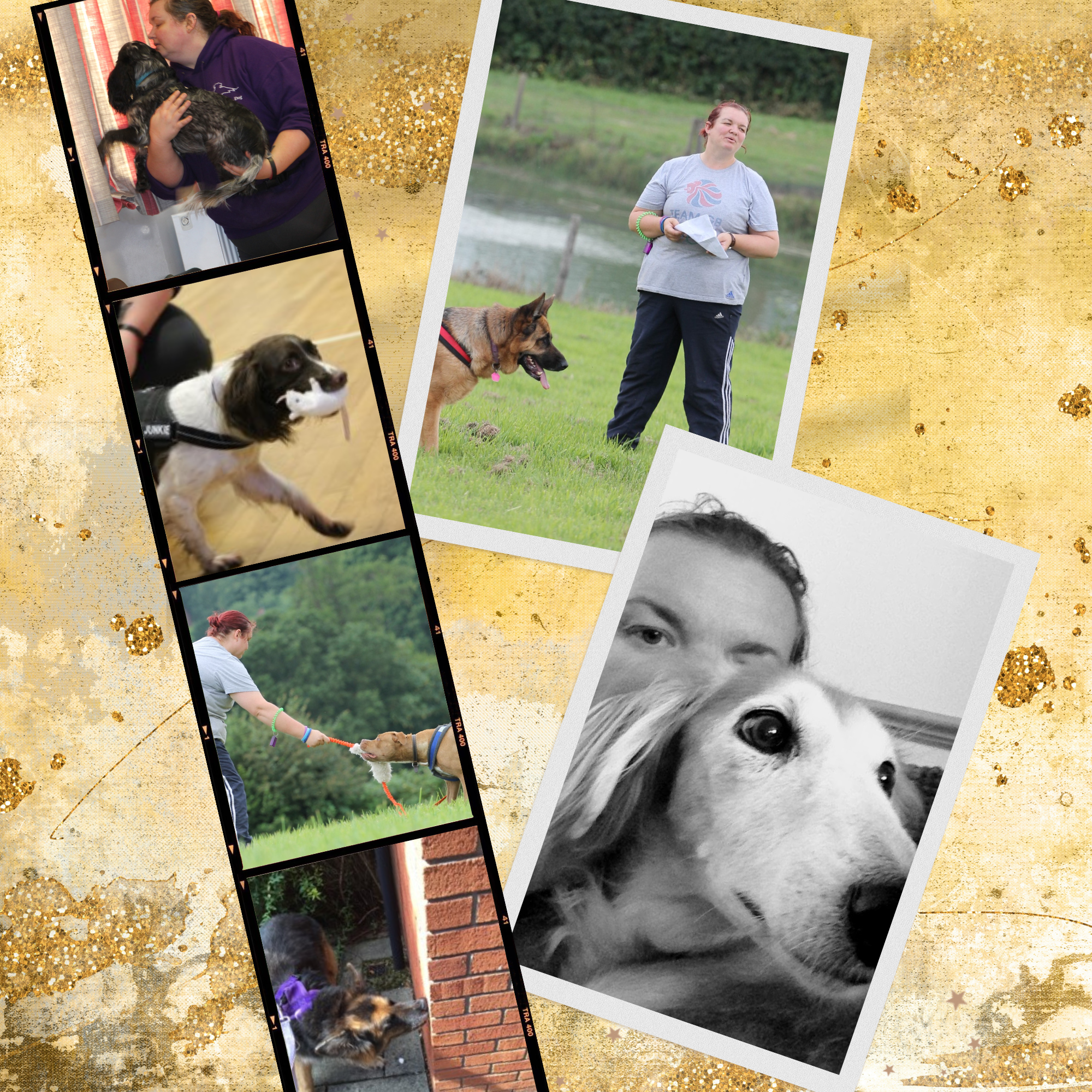 Dog behaviourist, Kelly Cordell-Morris, photo collage of her working with different dogs.