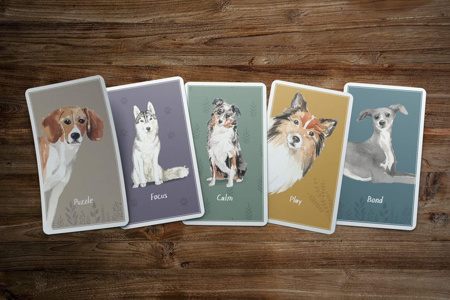 Cards v2 05 1