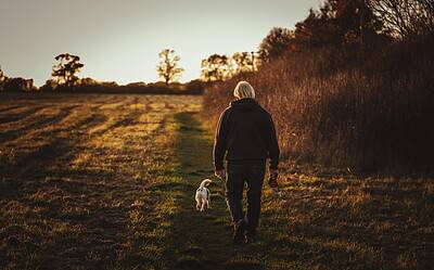 3 Calm Strategies for Reactive Dogs (That You’ll Actually Remember)